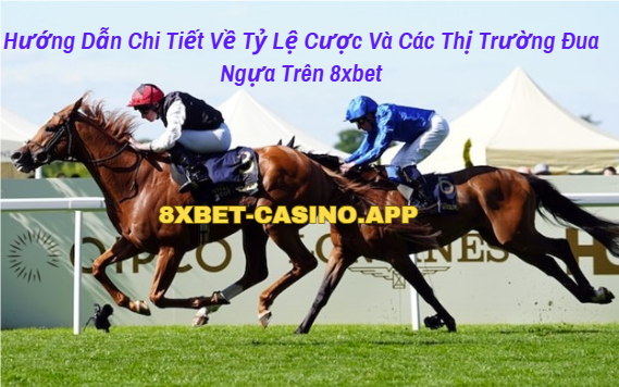 Hướng dẫn chi tiết về tỷ lệ cược và các thị trường đua ngựa trên 8xbet